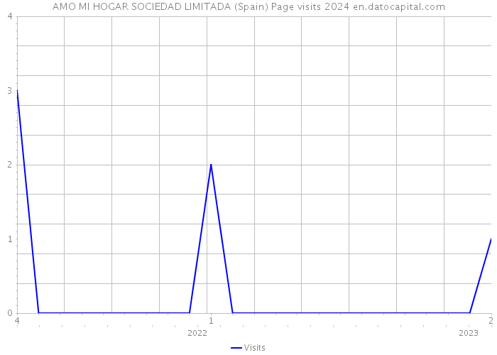 AMO MI HOGAR SOCIEDAD LIMITADA (Spain) Page visits 2024 