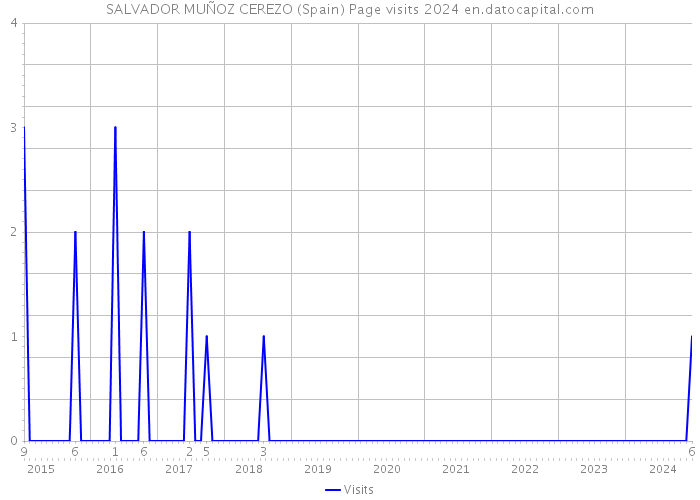 SALVADOR MUÑOZ CEREZO (Spain) Page visits 2024 