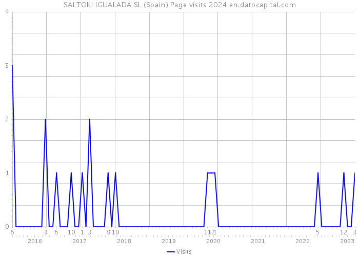 SALTOKI IGUALADA SL (Spain) Page visits 2024 