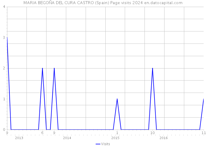 MARIA BEGOÑA DEL CURA CASTRO (Spain) Page visits 2024 