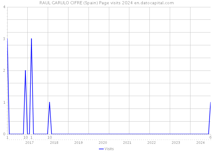 RAUL GARULO CIFRE (Spain) Page visits 2024 