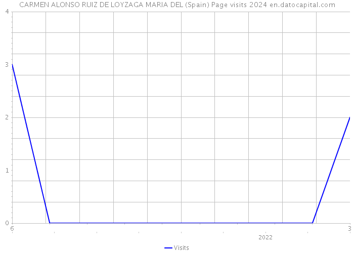 CARMEN ALONSO RUIZ DE LOYZAGA MARIA DEL (Spain) Page visits 2024 