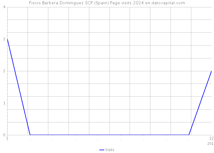 Fisios Barbera Dominguez SCP (Spain) Page visits 2024 