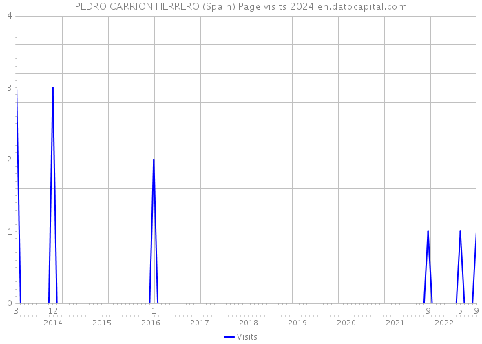 PEDRO CARRION HERRERO (Spain) Page visits 2024 