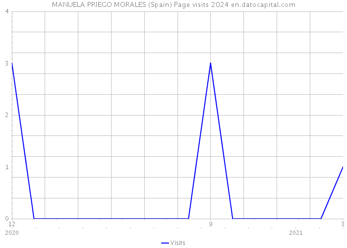 MANUELA PRIEGO MORALES (Spain) Page visits 2024 