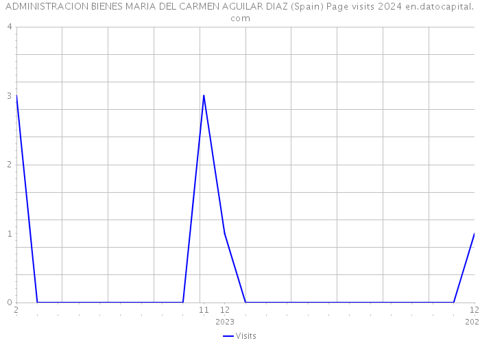 ADMINISTRACION BIENES MARIA DEL CARMEN AGUILAR DIAZ (Spain) Page visits 2024 
