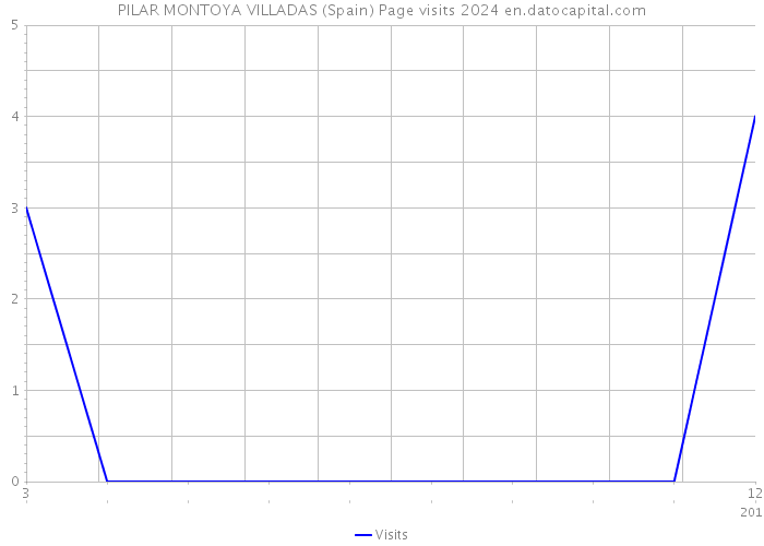 PILAR MONTOYA VILLADAS (Spain) Page visits 2024 