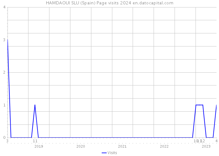 HAMDAOUI SLU (Spain) Page visits 2024 