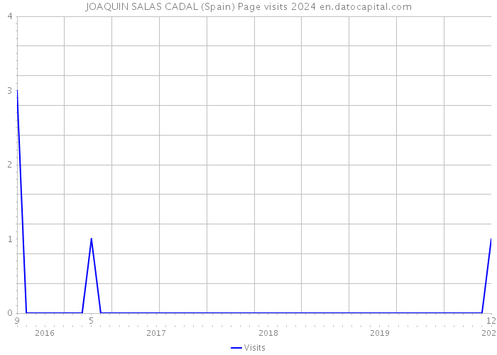JOAQUIN SALAS CADAL (Spain) Page visits 2024 