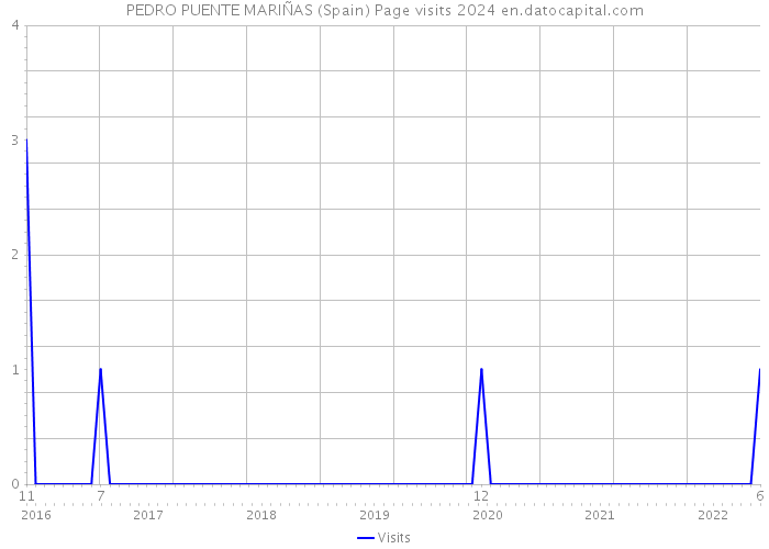 PEDRO PUENTE MARIÑAS (Spain) Page visits 2024 