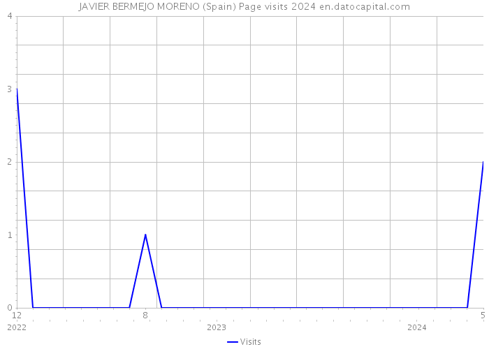 JAVIER BERMEJO MORENO (Spain) Page visits 2024 