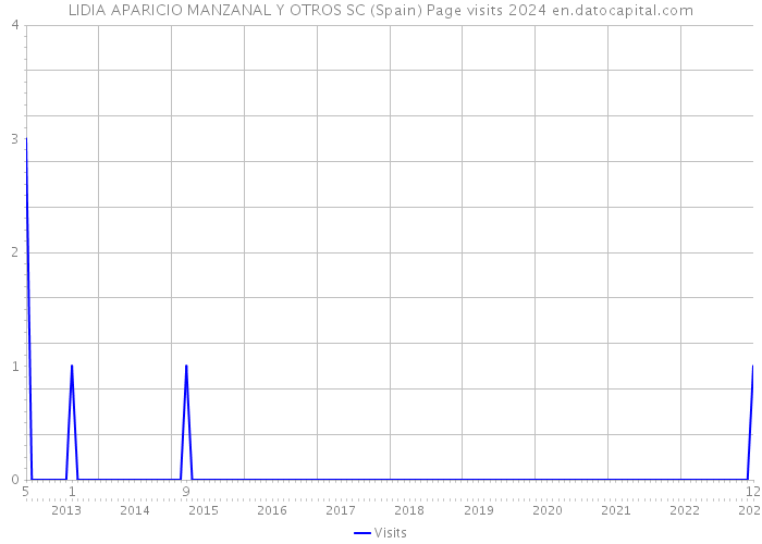 LIDIA APARICIO MANZANAL Y OTROS SC (Spain) Page visits 2024 