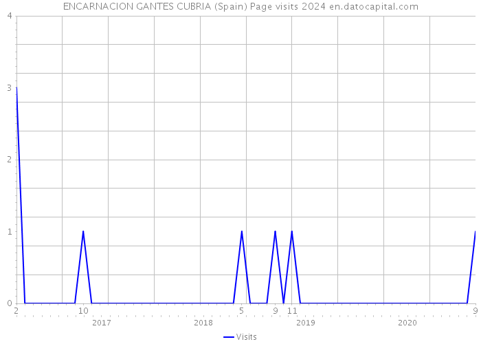 ENCARNACION GANTES CUBRIA (Spain) Page visits 2024 