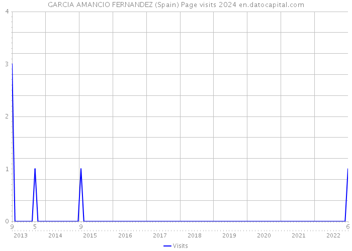 GARCIA AMANCIO FERNANDEZ (Spain) Page visits 2024 