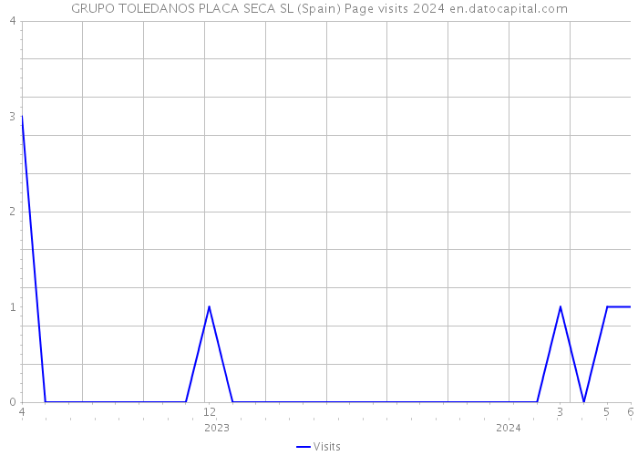 GRUPO TOLEDANOS PLACA SECA SL (Spain) Page visits 2024 