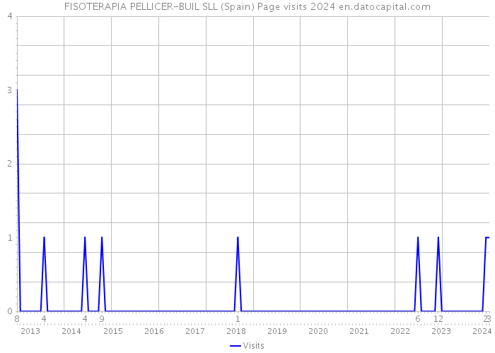 FISOTERAPIA PELLICER-BUIL SLL (Spain) Page visits 2024 