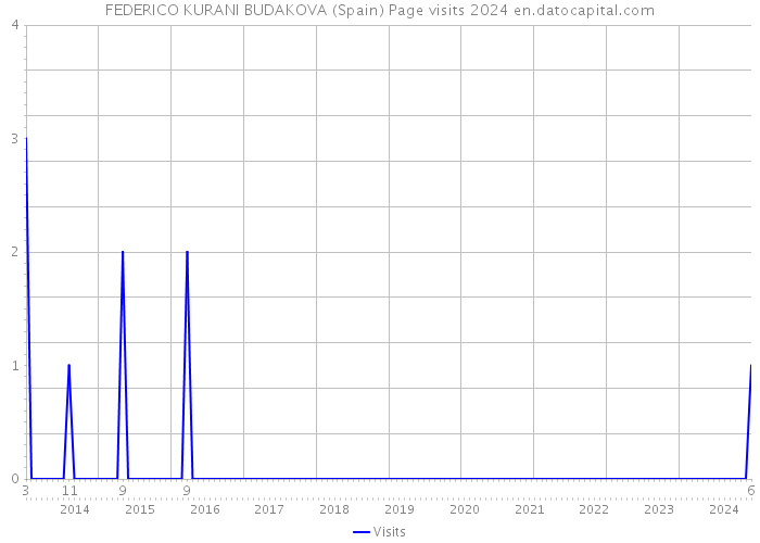 FEDERICO KURANI BUDAKOVA (Spain) Page visits 2024 