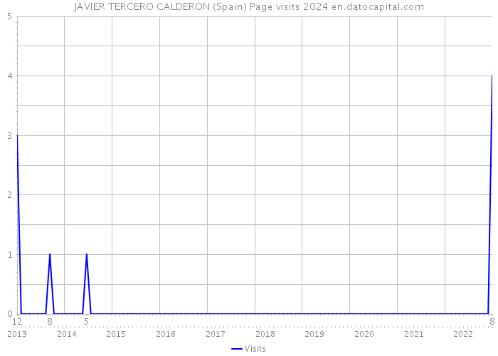 JAVIER TERCERO CALDERON (Spain) Page visits 2024 
