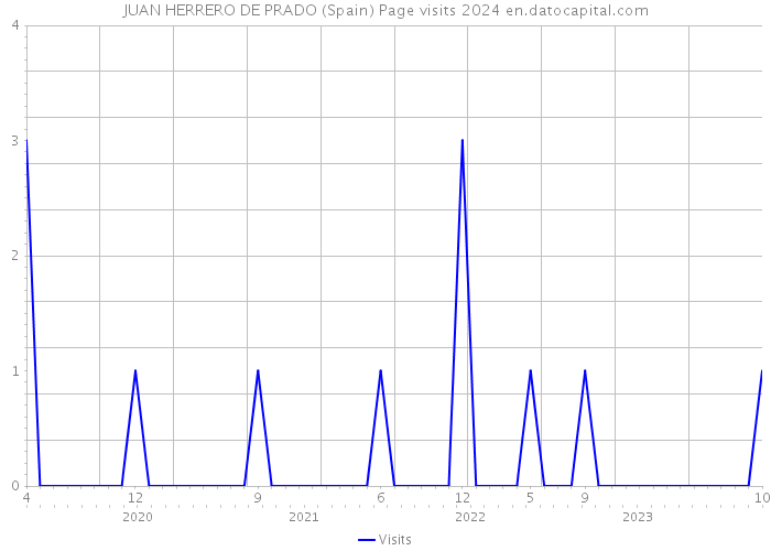JUAN HERRERO DE PRADO (Spain) Page visits 2024 