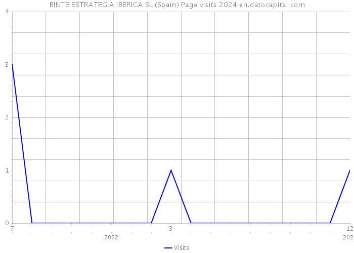 BINTE ESTRATEGIA IBERICA SL (Spain) Page visits 2024 