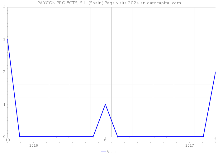 PAYCON PROJECTS, S.L. (Spain) Page visits 2024 