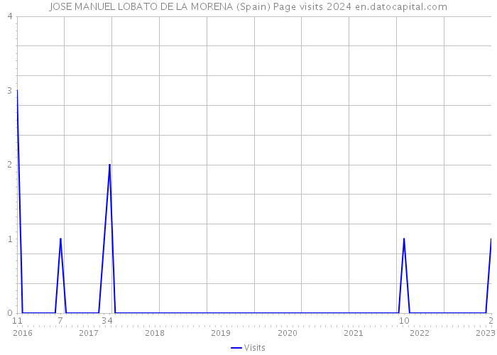 JOSE MANUEL LOBATO DE LA MORENA (Spain) Page visits 2024 