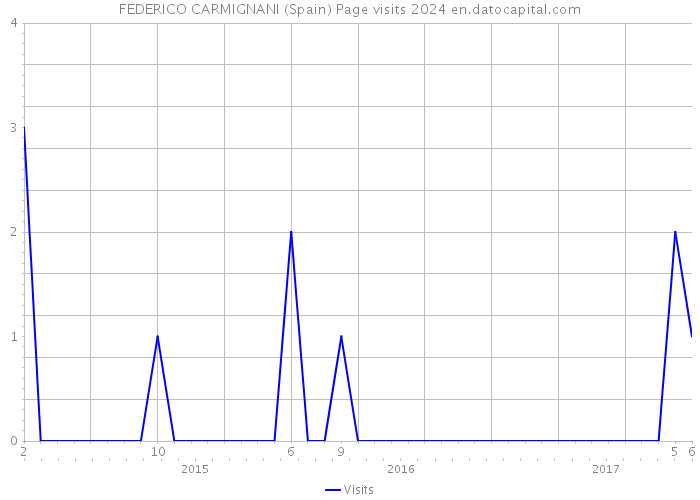 FEDERICO CARMIGNANI (Spain) Page visits 2024 