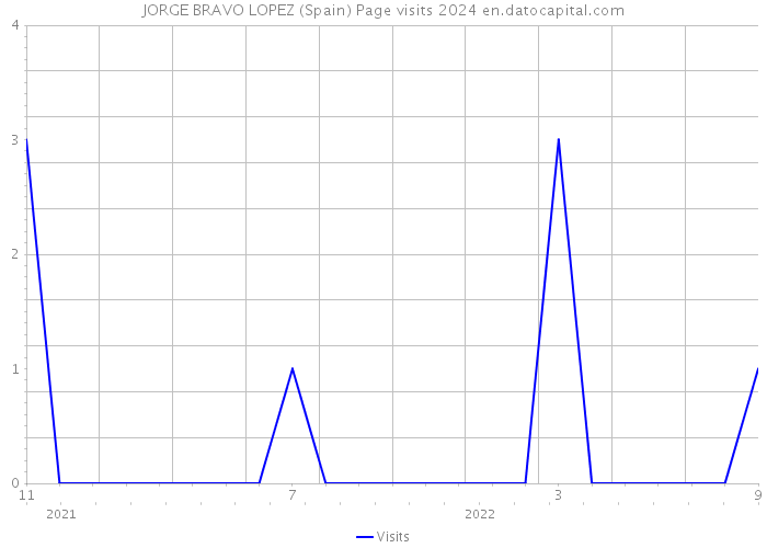 JORGE BRAVO LOPEZ (Spain) Page visits 2024 