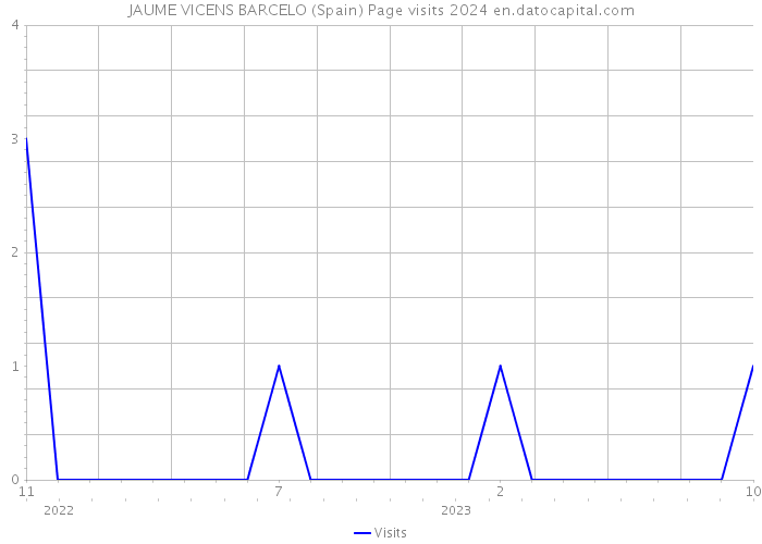 JAUME VICENS BARCELO (Spain) Page visits 2024 