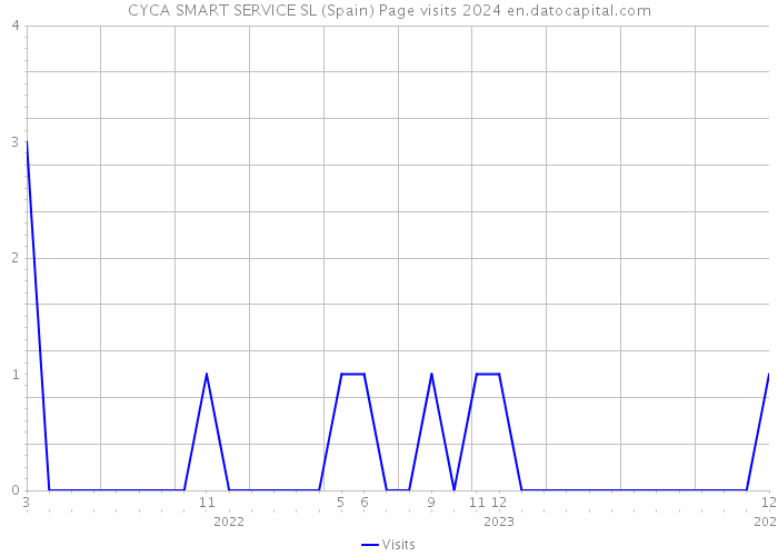 CYCA SMART SERVICE SL (Spain) Page visits 2024 