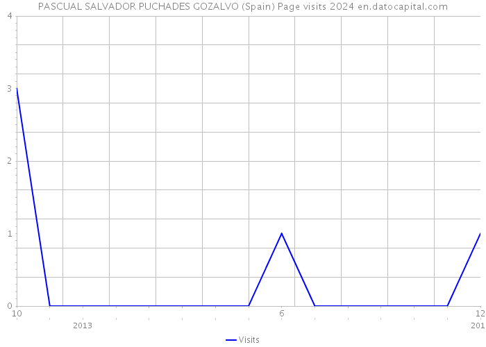 PASCUAL SALVADOR PUCHADES GOZALVO (Spain) Page visits 2024 