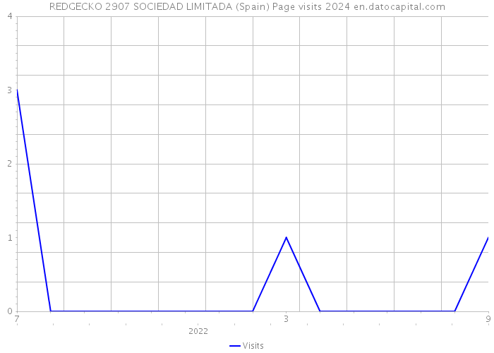 REDGECKO 2907 SOCIEDAD LIMITADA (Spain) Page visits 2024 