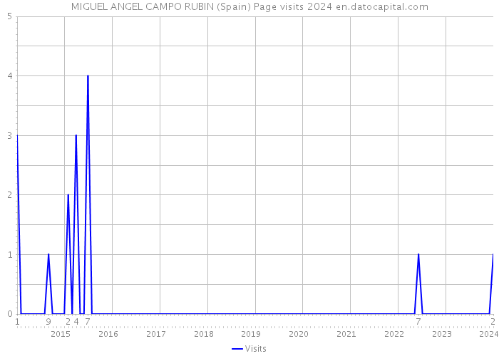 MIGUEL ANGEL CAMPO RUBIN (Spain) Page visits 2024 