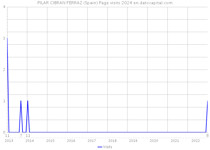 PILAR CIBRAN FERRAZ (Spain) Page visits 2024 
