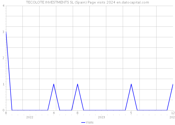 TECOLOTE INVESTMENTS SL (Spain) Page visits 2024 
