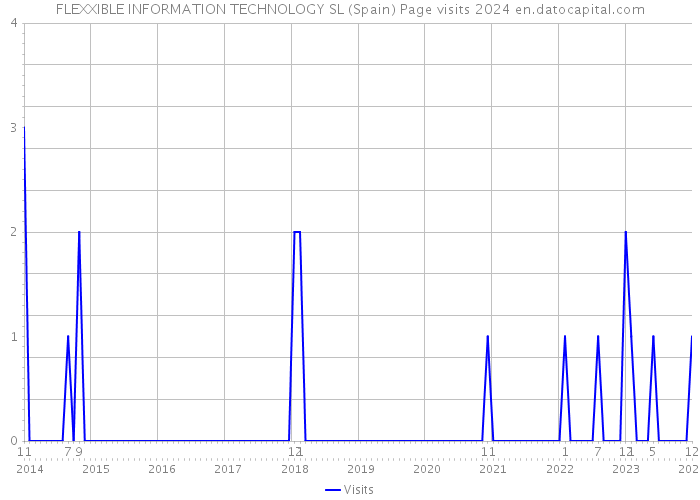 FLEXXIBLE INFORMATION TECHNOLOGY SL (Spain) Page visits 2024 