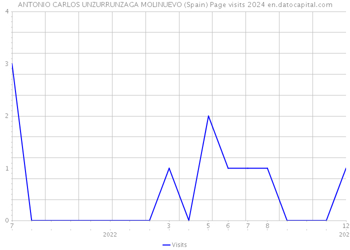 ANTONIO CARLOS UNZURRUNZAGA MOLINUEVO (Spain) Page visits 2024 
