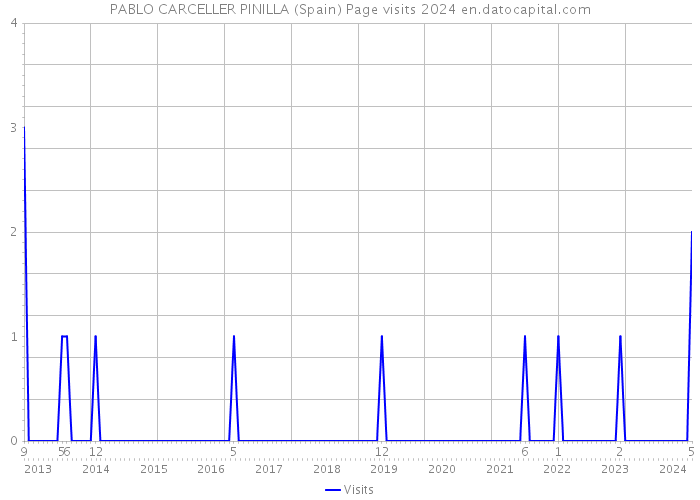 PABLO CARCELLER PINILLA (Spain) Page visits 2024 