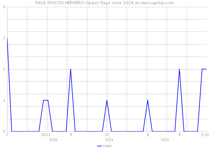 RAUL RINCON HERRERO (Spain) Page visits 2024 