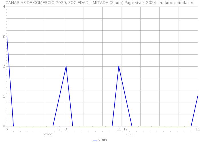 CANARIAS DE COMERCIO 2020, SOCIEDAD LIMITADA (Spain) Page visits 2024 