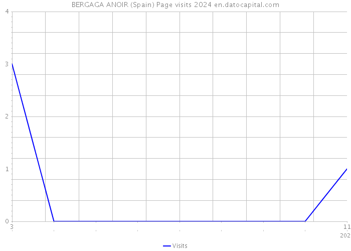 BERGAGA ANOIR (Spain) Page visits 2024 