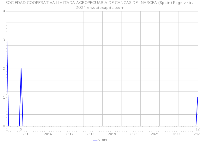 SOCIEDAD COOPERATIVA LIMITADA AGROPECUARIA DE CANGAS DEL NARCEA (Spain) Page visits 2024 