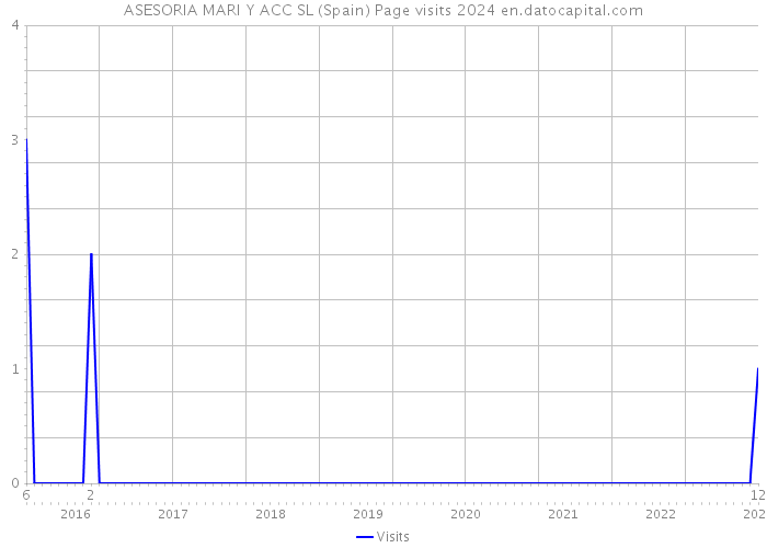 ASESORIA MARI Y ACC SL (Spain) Page visits 2024 