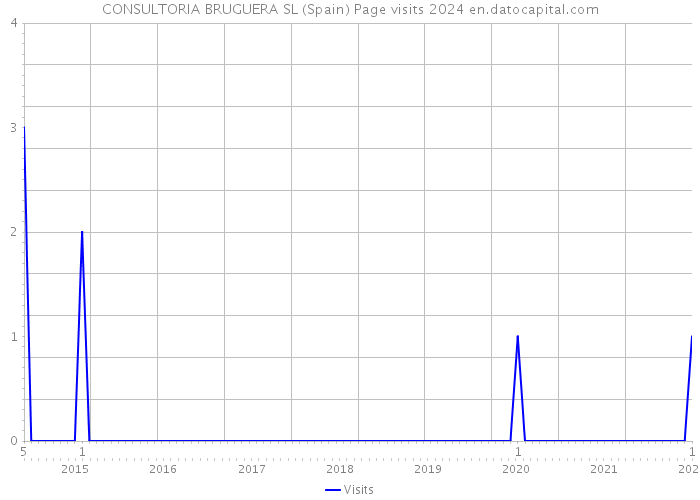 CONSULTORIA BRUGUERA SL (Spain) Page visits 2024 