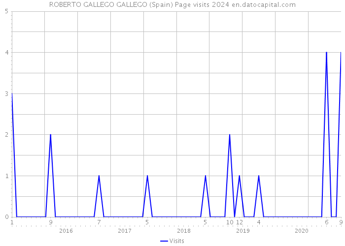 ROBERTO GALLEGO GALLEGO (Spain) Page visits 2024 