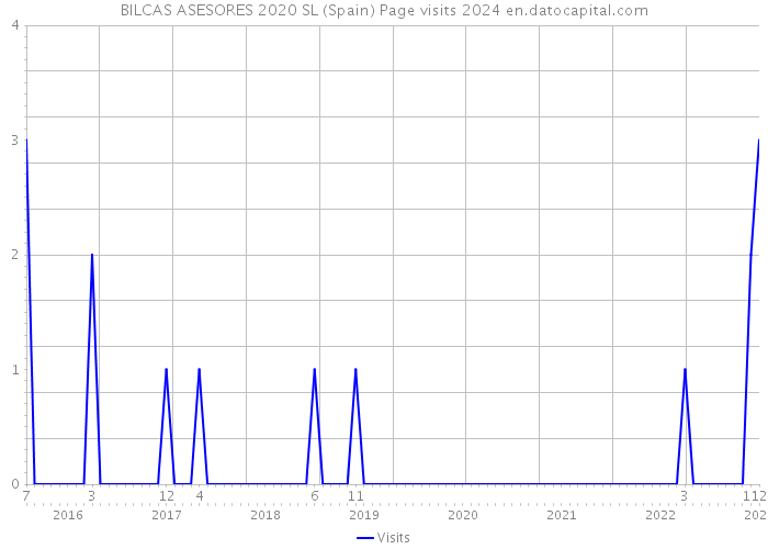 BILCAS ASESORES 2020 SL (Spain) Page visits 2024 