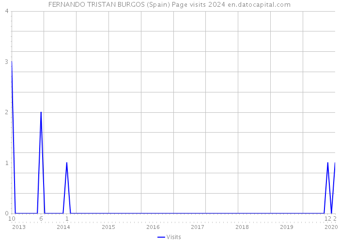FERNANDO TRISTAN BURGOS (Spain) Page visits 2024 