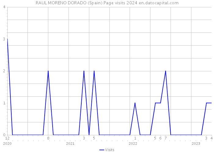 RAUL MORENO DORADO (Spain) Page visits 2024 