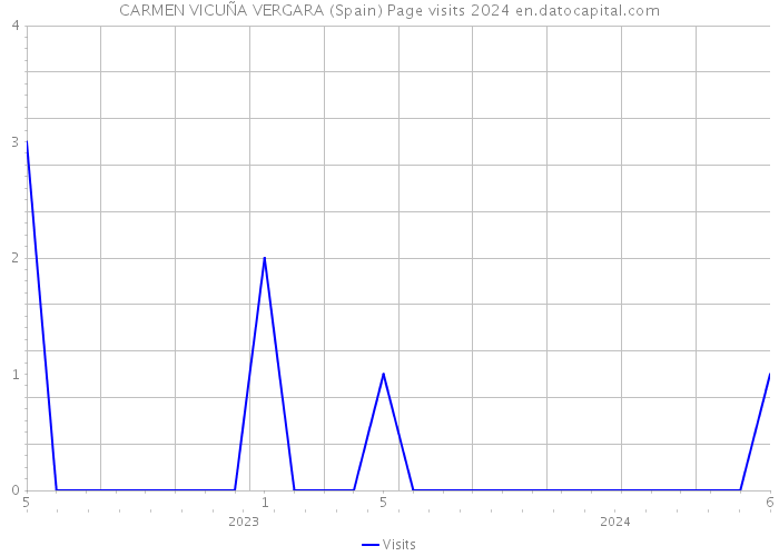 CARMEN VICUÑA VERGARA (Spain) Page visits 2024 