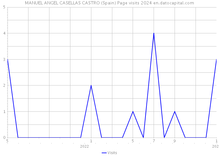 MANUEL ANGEL CASELLAS CASTRO (Spain) Page visits 2024 